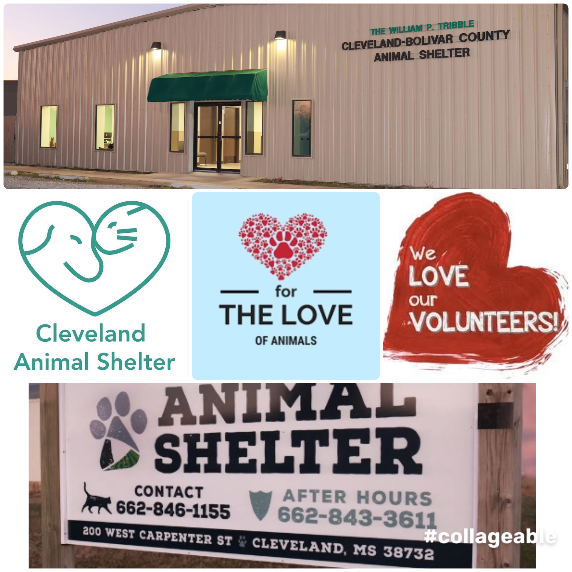 B1C1E87B-84B7-4F80-9EFC-F23B05B5500B (1)