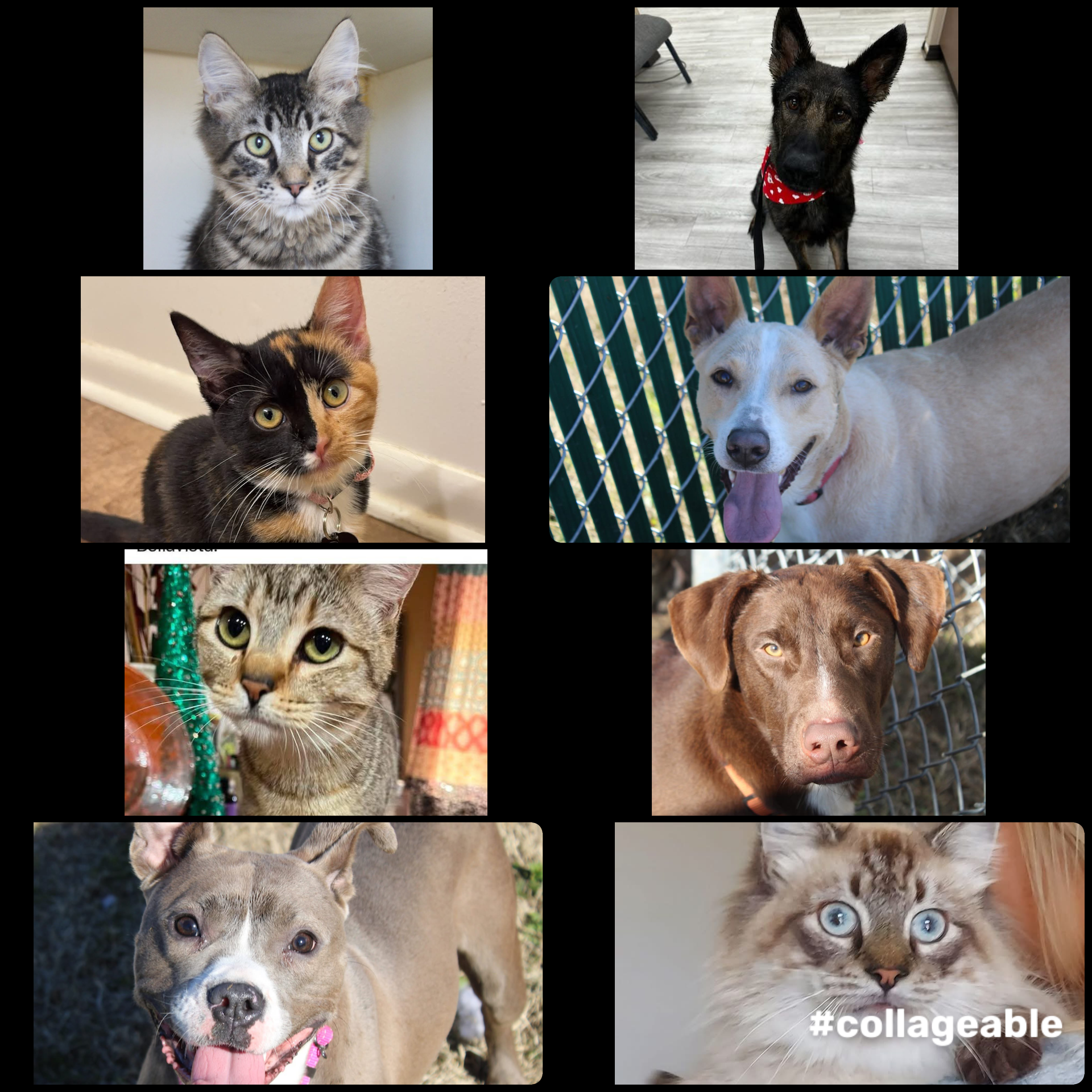 FB9E7A6F-6490-4136-B351-64FFFC967A33